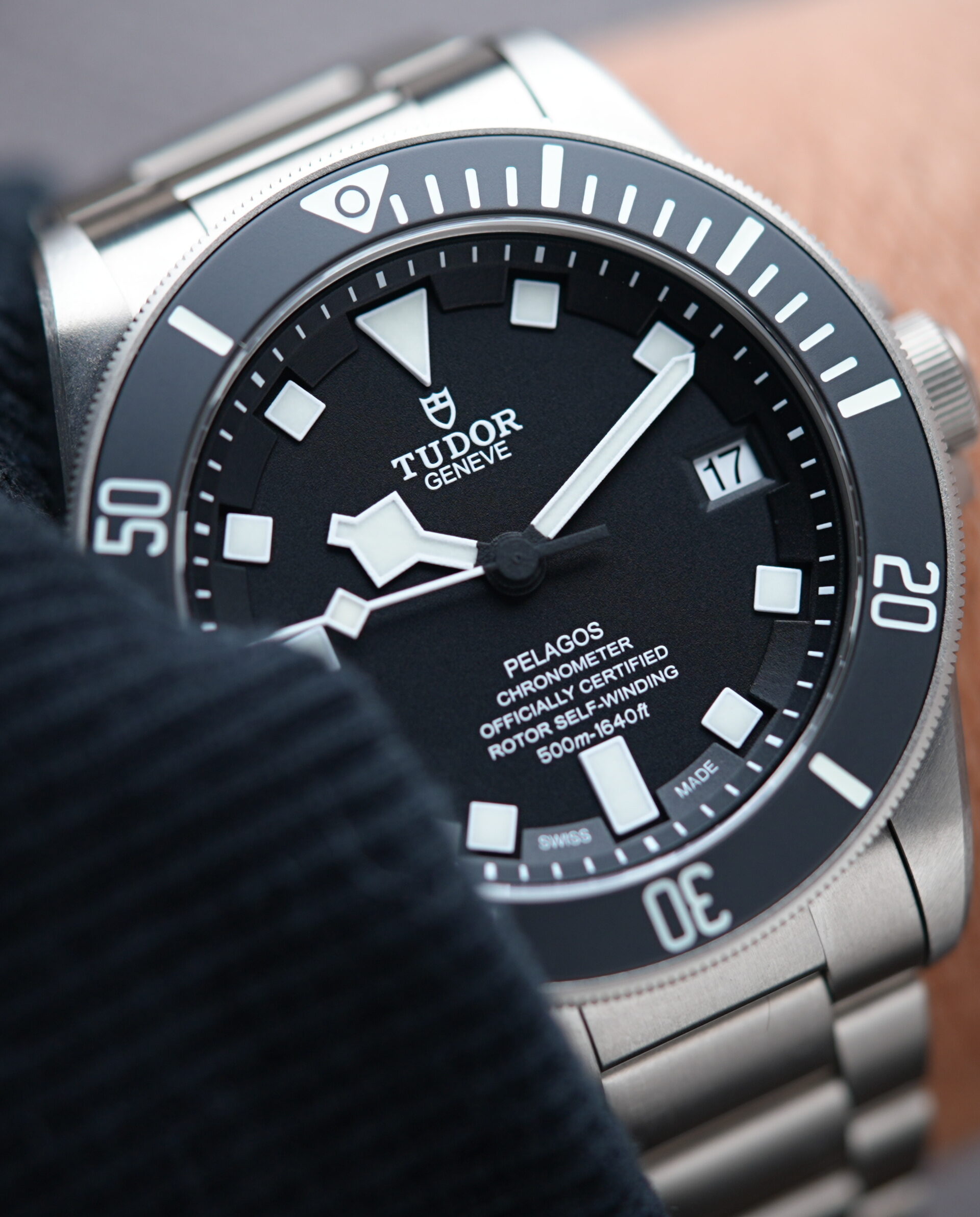 Tudor Pelagos 25600TN watch featured on the wrist.