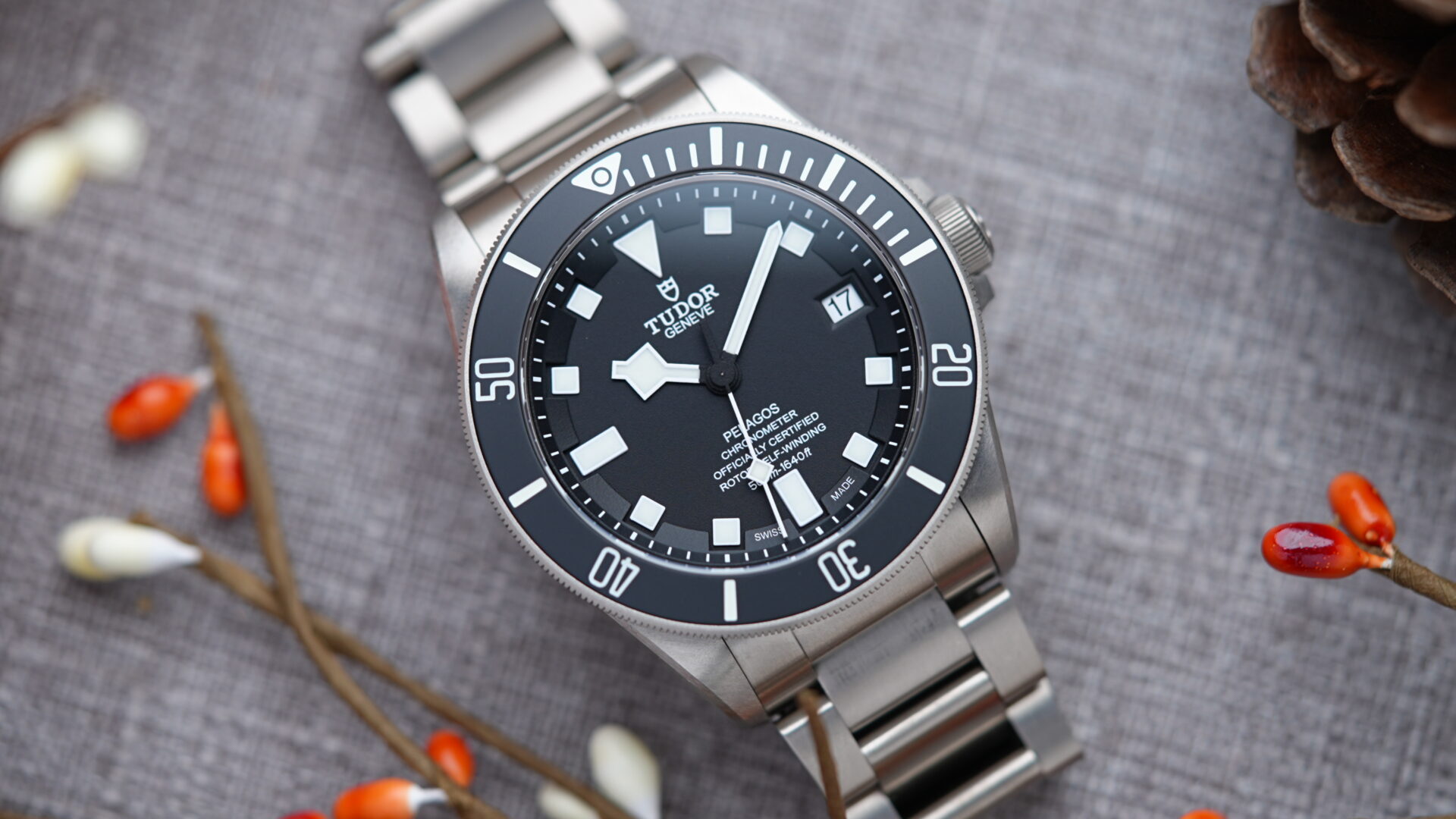 Tudor Pelagos 25600TN watch featured on an angle.